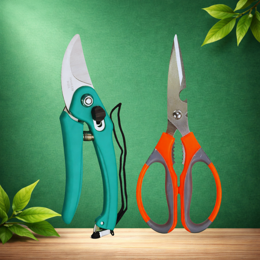 Hand Pruner and Garden Scissor Set