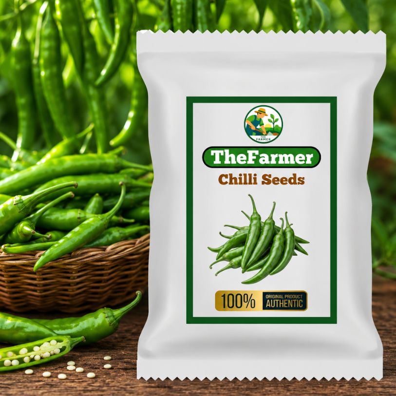 Chilli Seeds