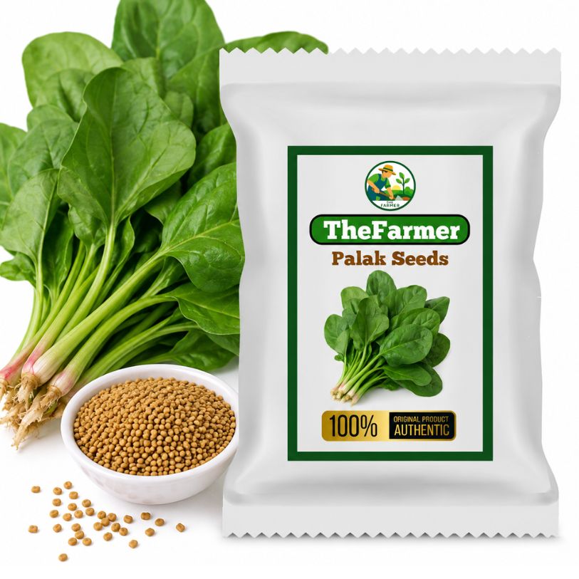 Spinach Seeds