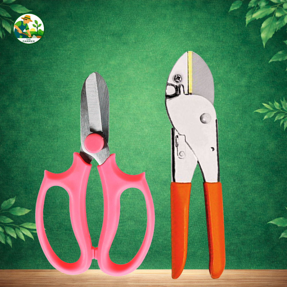 Garden Shears and Pruning Secateur Set