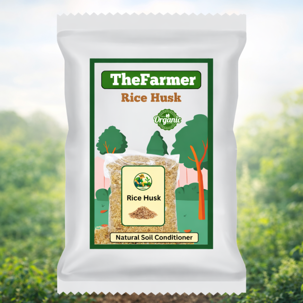 Rice Husk