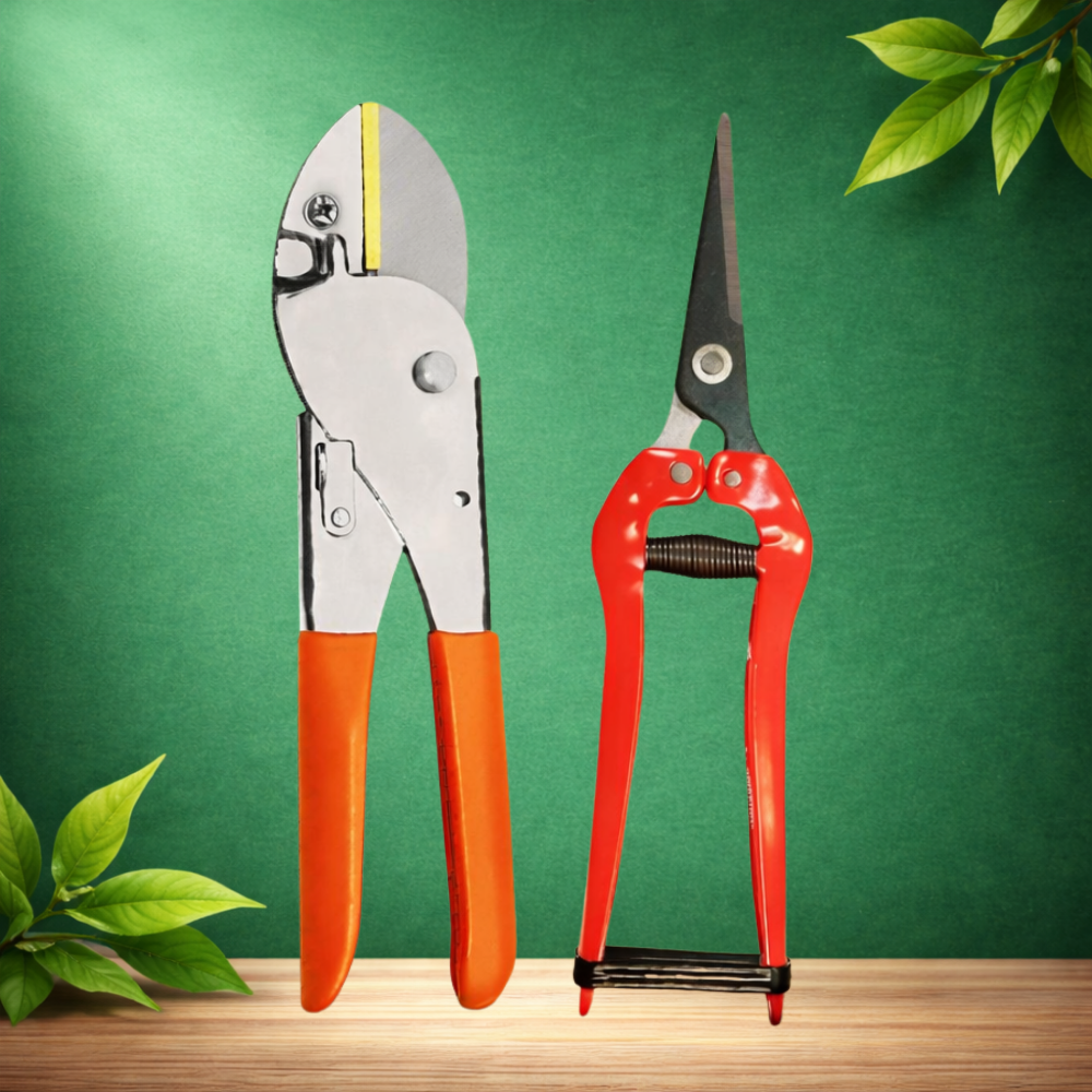 Garden Shears Roll Cut Pruning Secateur and Long Nose Pruning Cutter